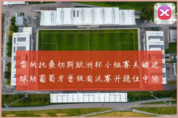 雷纳托桑切斯欧洲杯小组赛关键进球助葡萄牙晋级淘汰赛并稳住中场