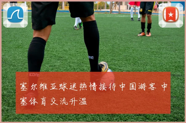 塞尔维亚球迷热情接待中国游客 中塞体育交流升温