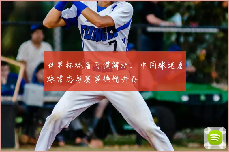 世界杯观看习惯解析：中国球迷看球常态与赛事热情并存