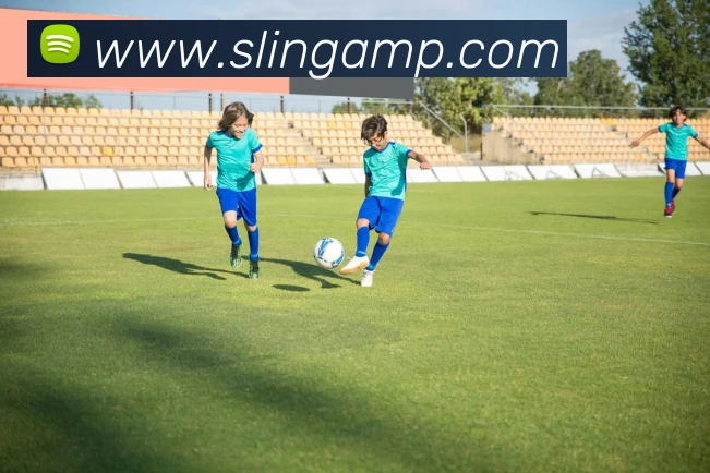 mksports官网平台生态图