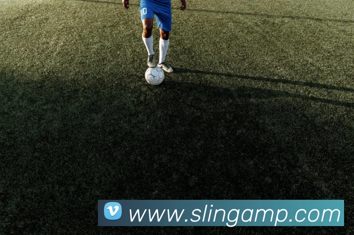 mksports官网全站App